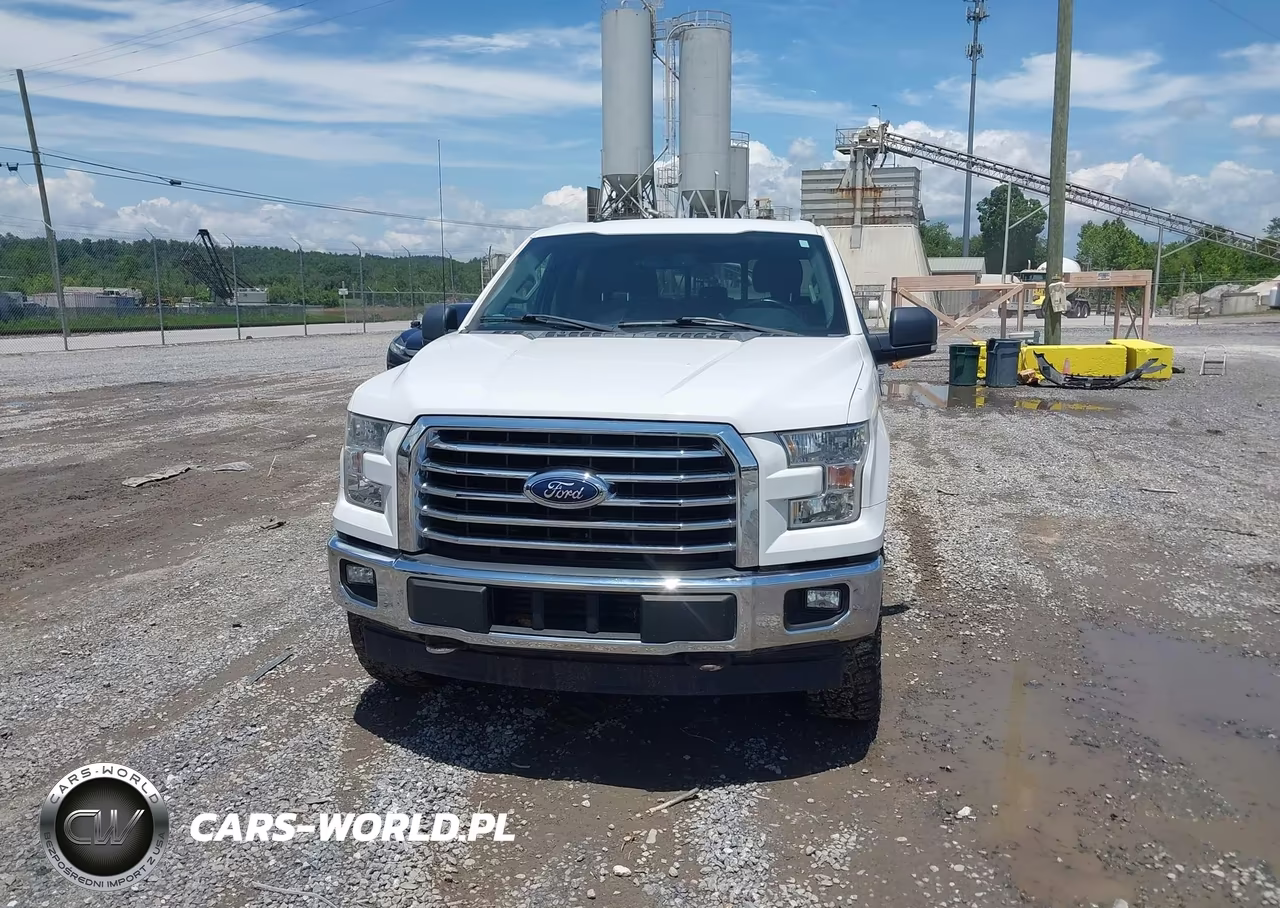 2017 Ford F-150 Xlt VIN:1FTEW1EG4HFB79765 - 12