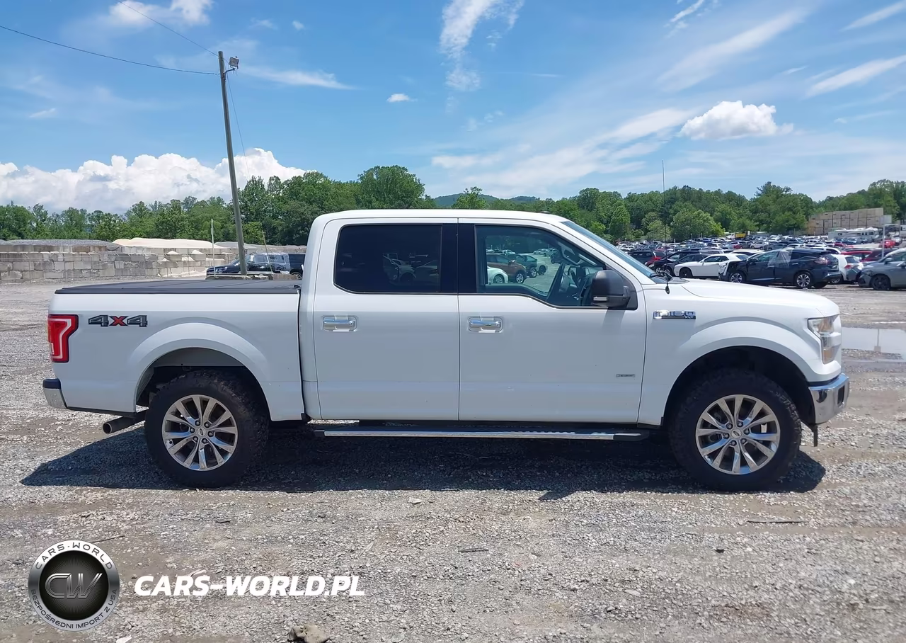 2017 Ford F-150 Xlt VIN:1FTEW1EG4HFB79765 - 13