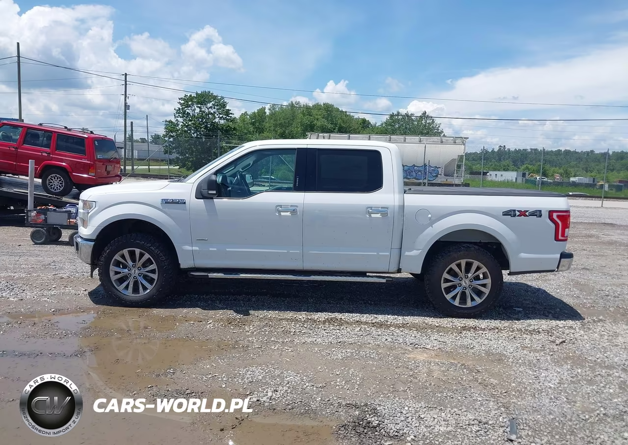 2017 Ford F-150 Xlt VIN:1FTEW1EG4HFB79765 - 14