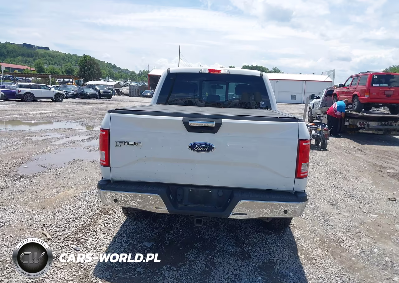 2017 Ford F-150 Xlt VIN:1FTEW1EG4HFB79765 - 16