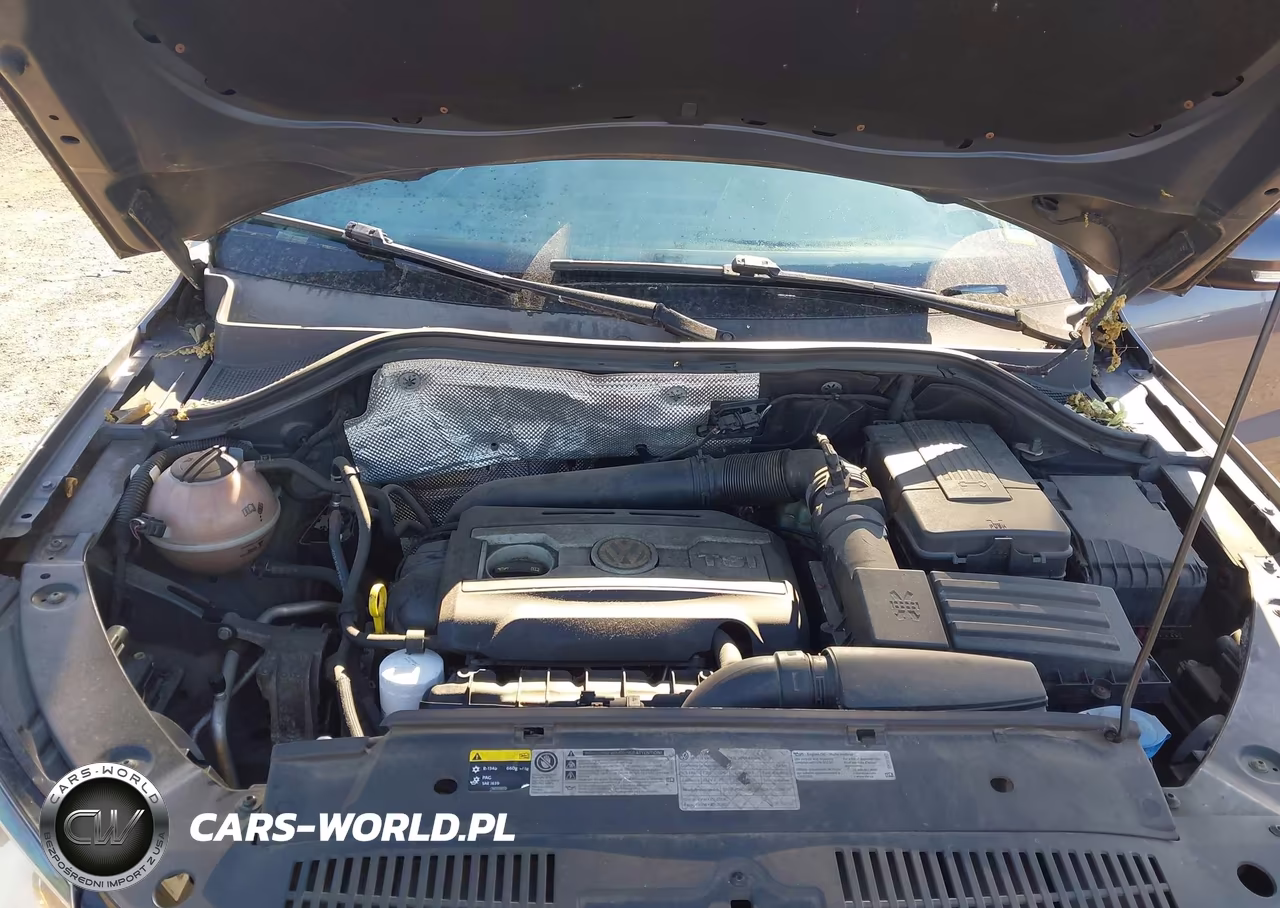 2014 Volkswagen Tiguan S VIN:WVGAV3AX7EW600288 - 10