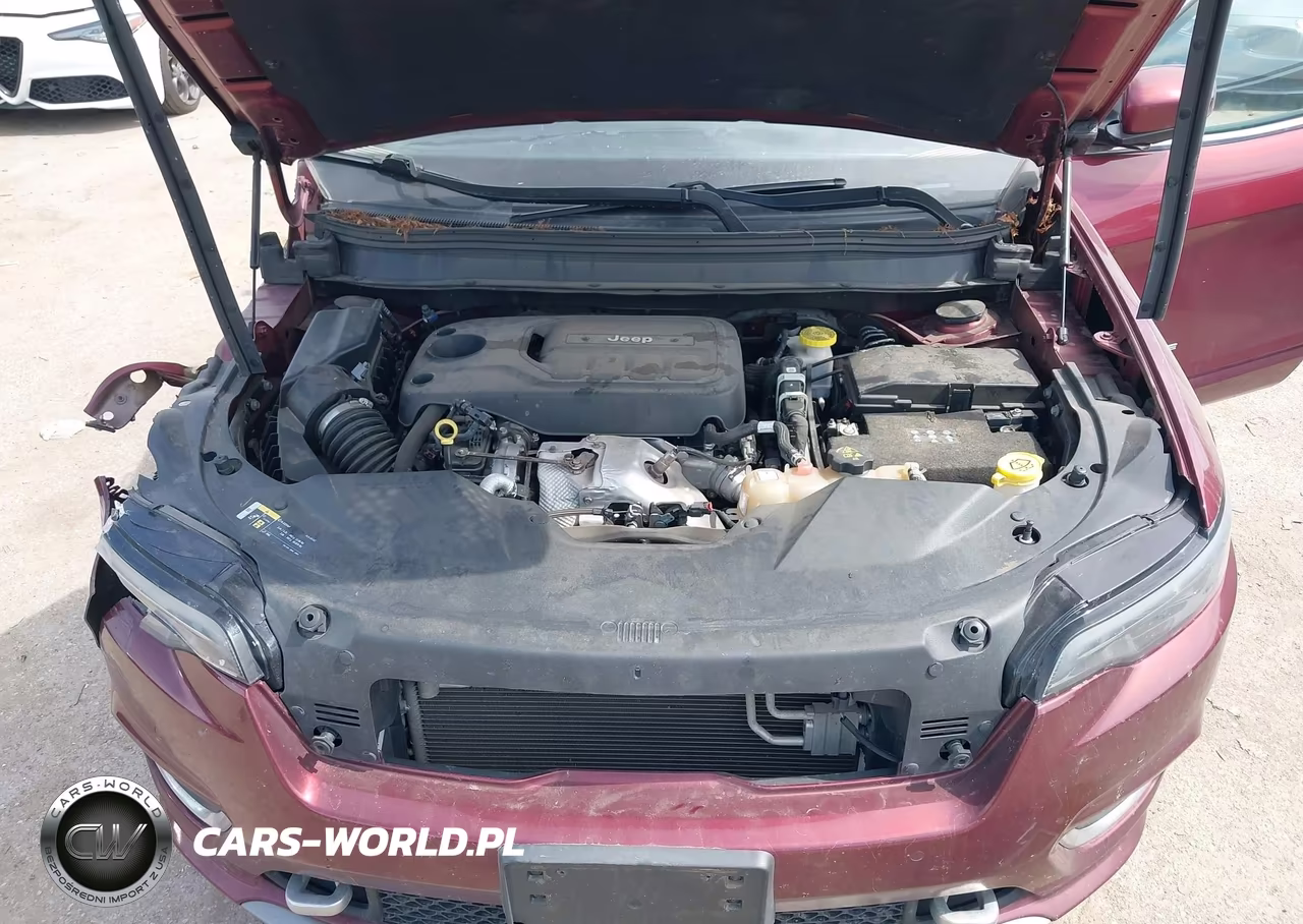 2019 Jeep Cherokee Overland 4X4 VIN:1C4PJMJN3KD309826 - 10