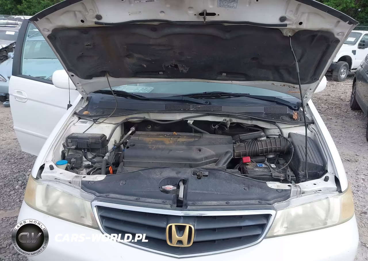 2004 Honda Odyssey Ex-L VIN:5FNRL18074B019368 - 10
