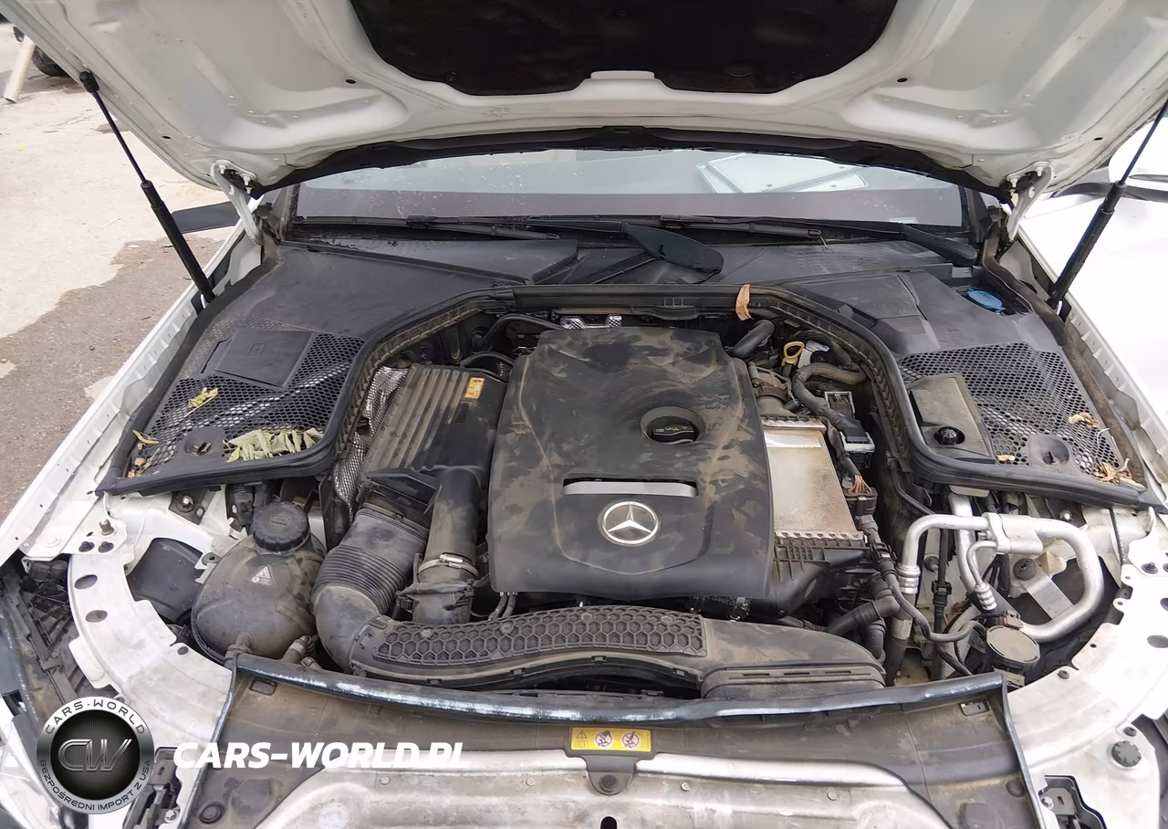 2018 Mercedes-Benz C 300 VIN:55SWF4JB7JU241054 - 10