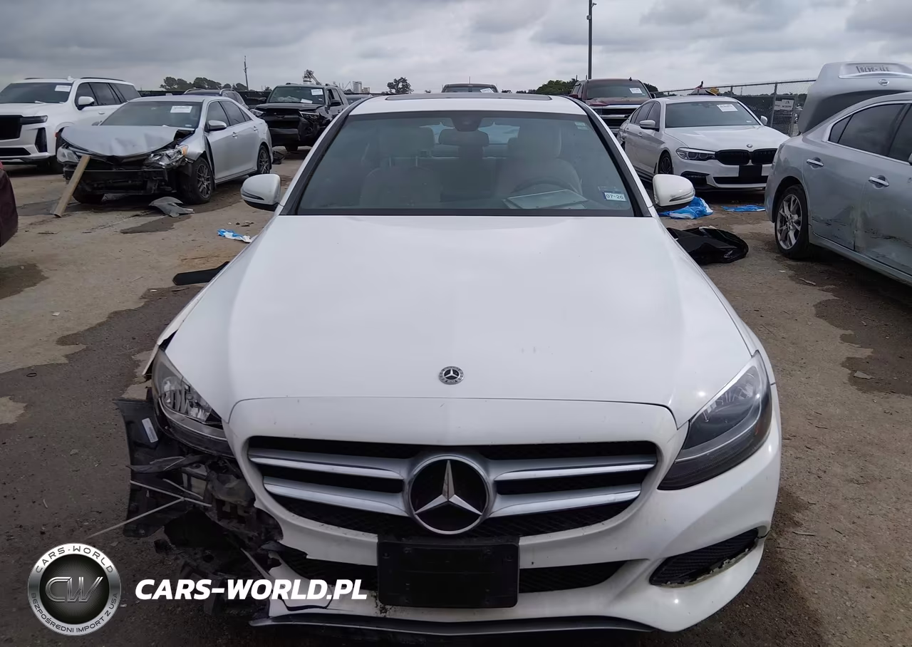 2018 Mercedes-Benz C 300 VIN:55SWF4JB7JU241054 - 12