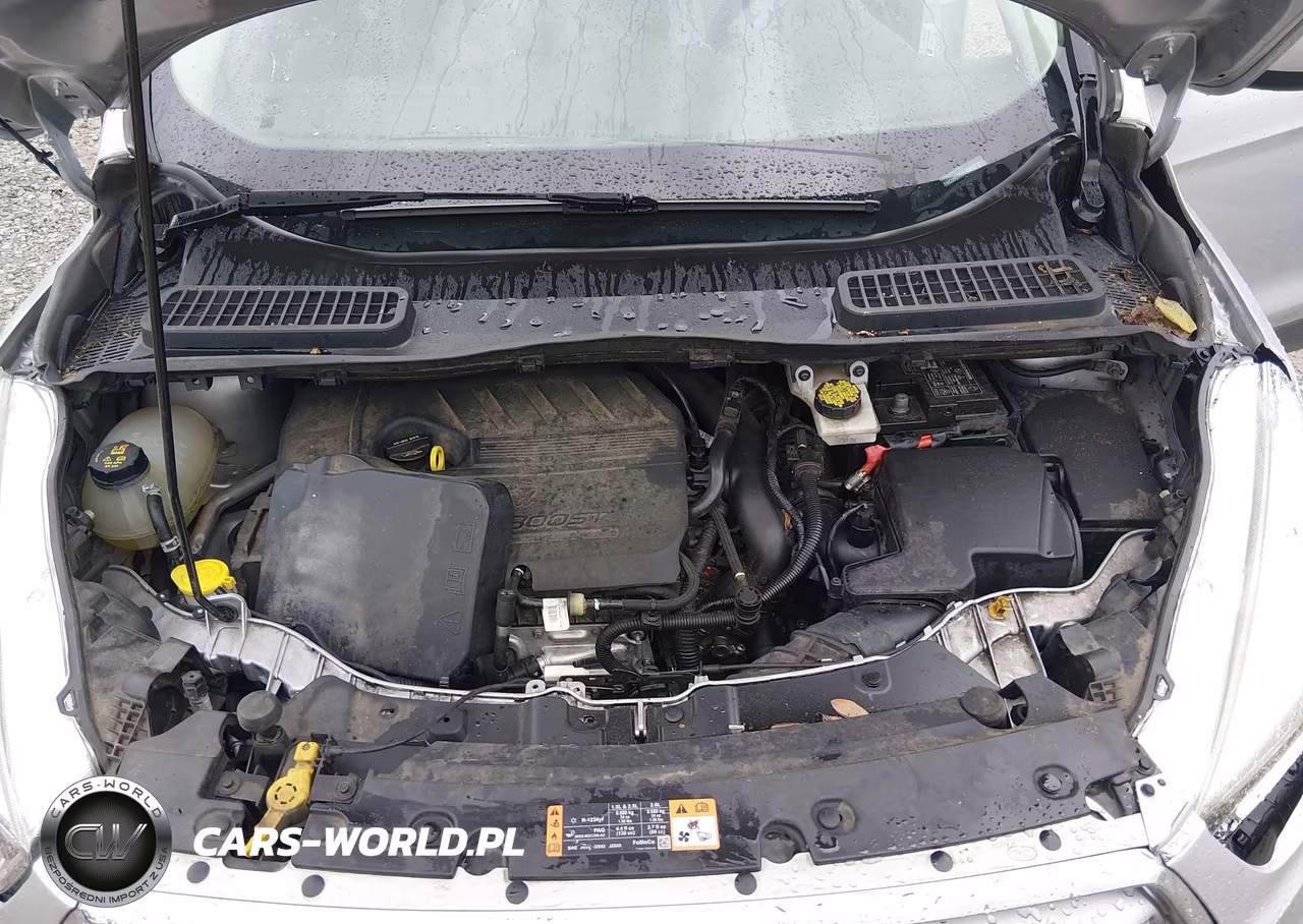 2017 Ford Escape Se VIN:1FMCU0GD5HUB36957 - 10