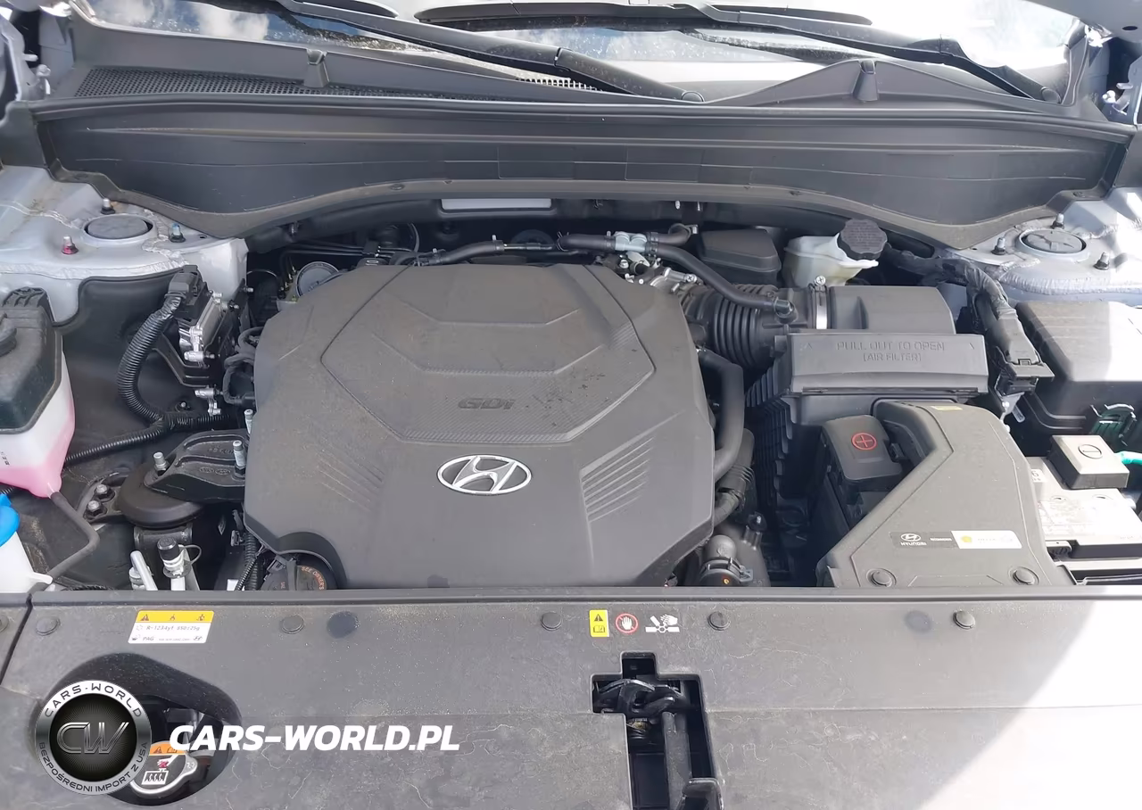 2025 Hyundai Palisade Sel VIN:KM8R24GEXSU934880 - 10