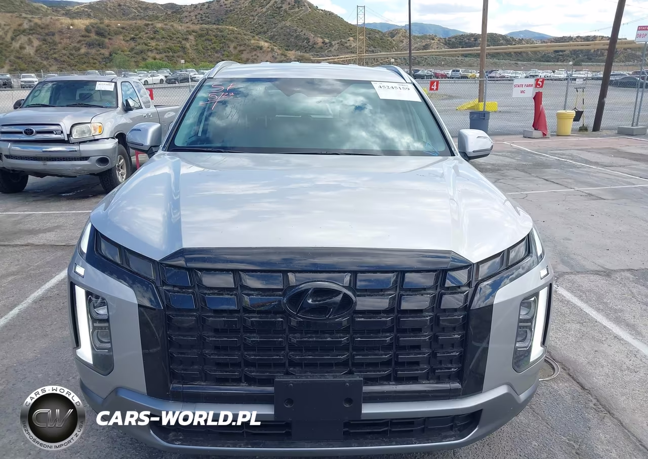 2025 Hyundai Palisade Sel VIN:KM8R24GEXSU934880 - 13