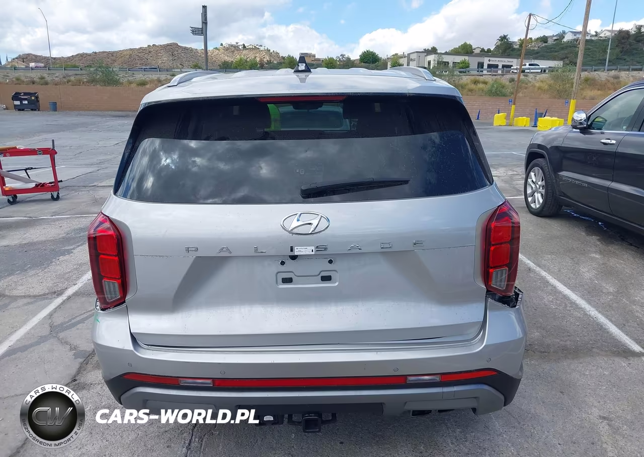 2025 Hyundai Palisade Sel VIN:KM8R24GEXSU934880 - 17