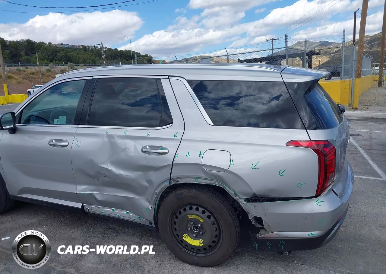 2025 Hyundai Palisade Sel VIN:KM8R24GEXSU934880 - 18