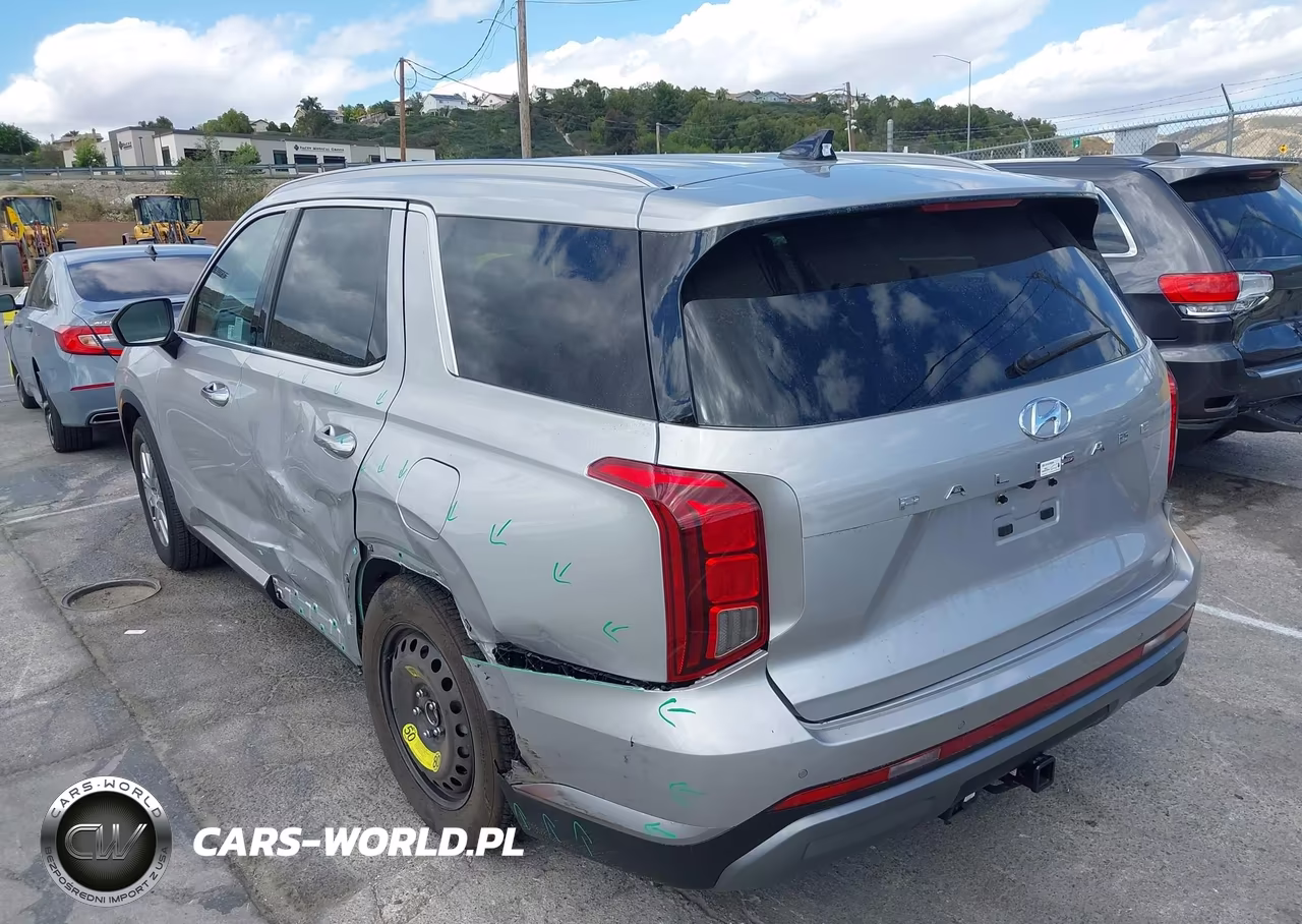 2025 Hyundai Palisade Sel VIN:KM8R24GEXSU934880 - 19
