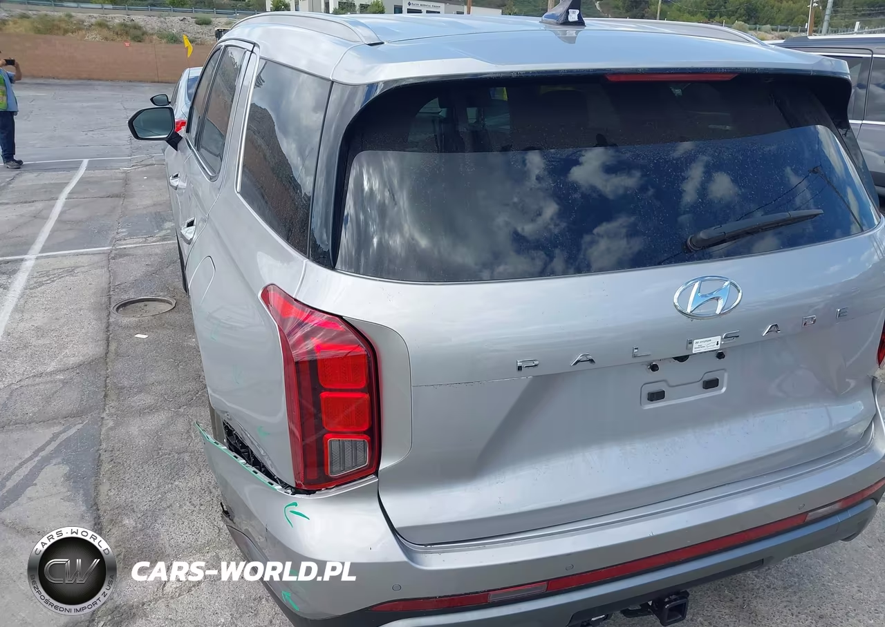 2025 Hyundai Palisade Sel VIN:KM8R24GEXSU934880 - 20