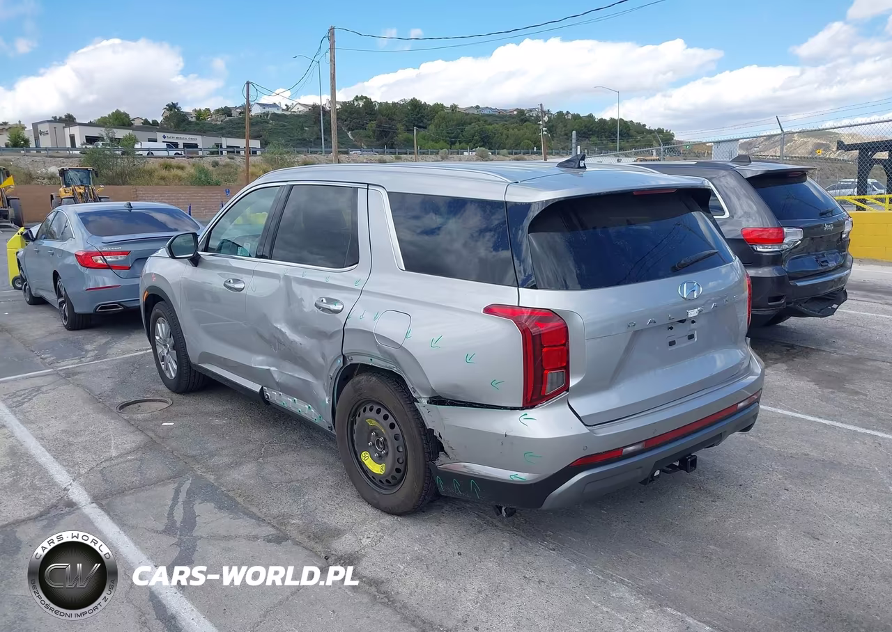 2025 Hyundai Palisade Sel VIN:KM8R24GEXSU934880 - 3