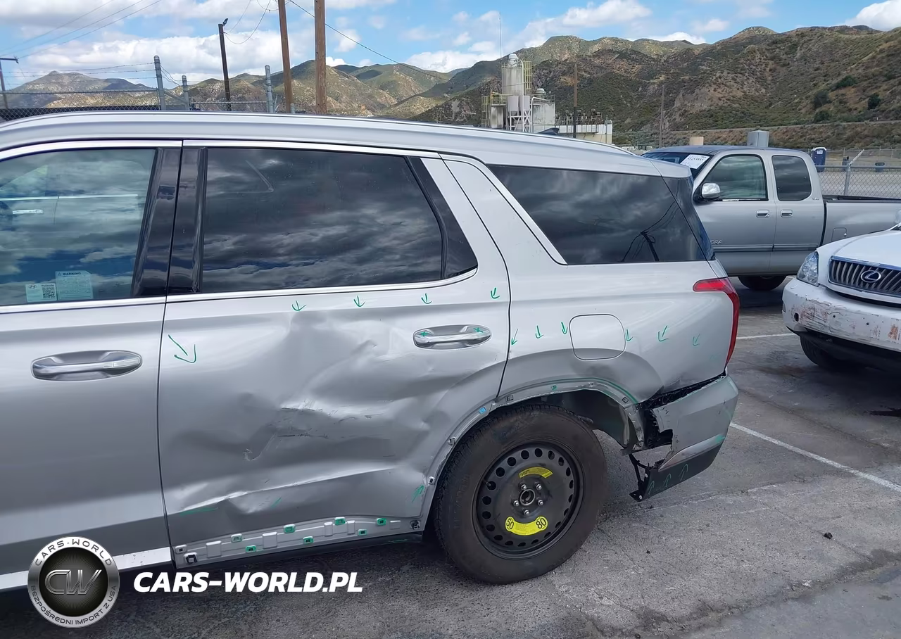 2025 Hyundai Palisade Sel VIN:KM8R24GEXSU934880 - 6
