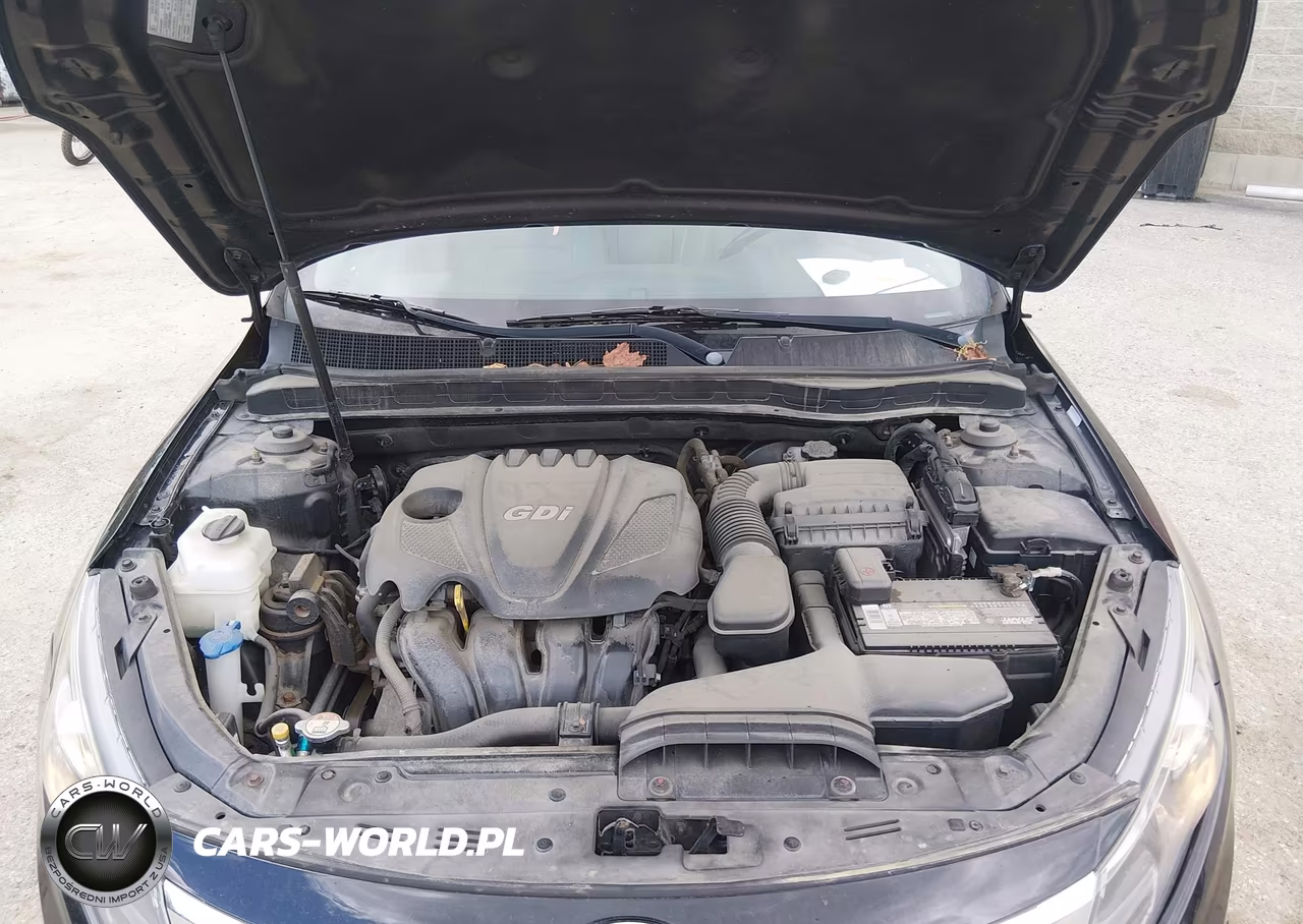 2013 Kia Optima Ex VIN:5XXGN4A78DG231705 - 10