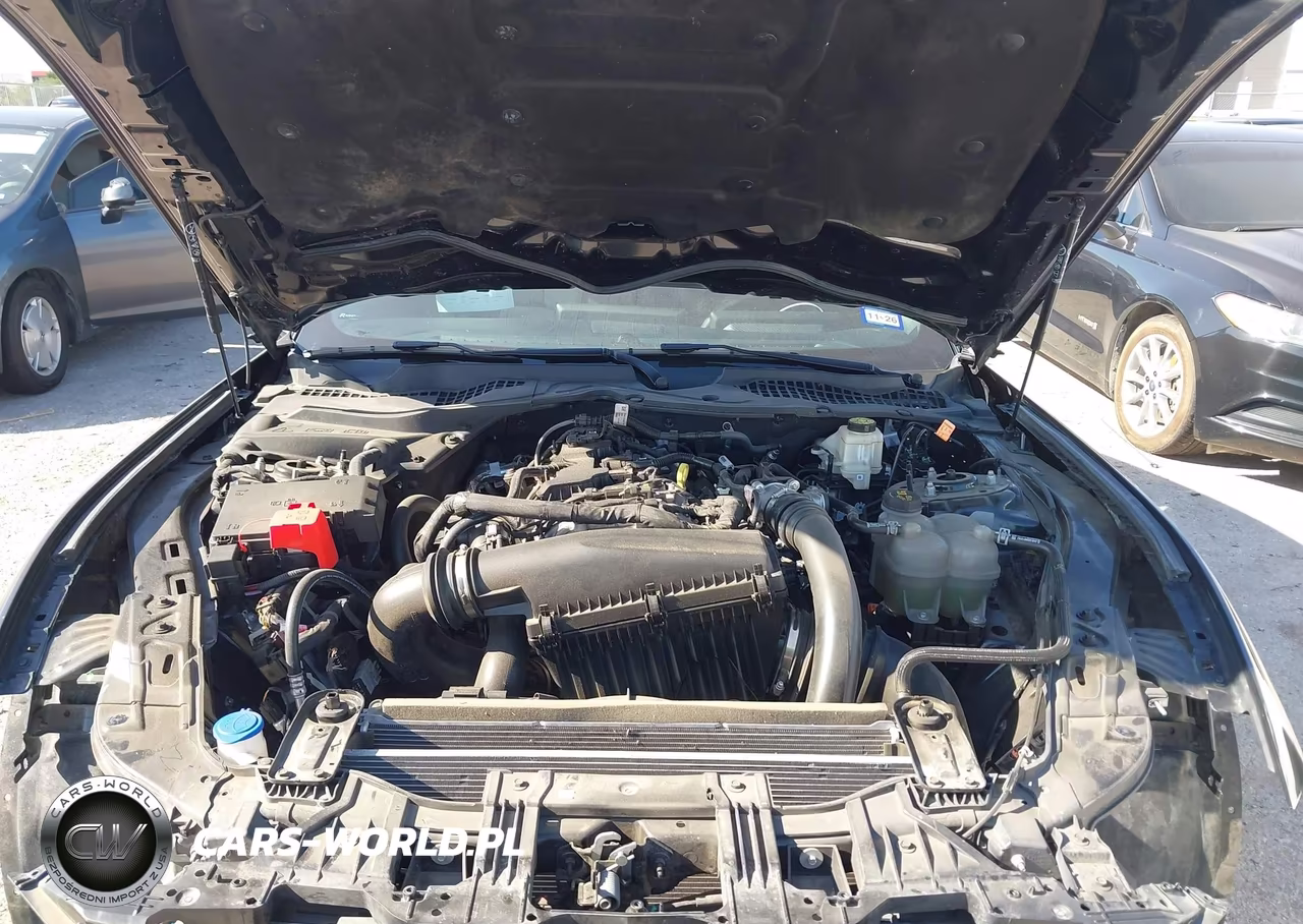 2024 Ford Mustang Ecoboost Fastback VIN:1FA6P8TH5R5102891 - 10