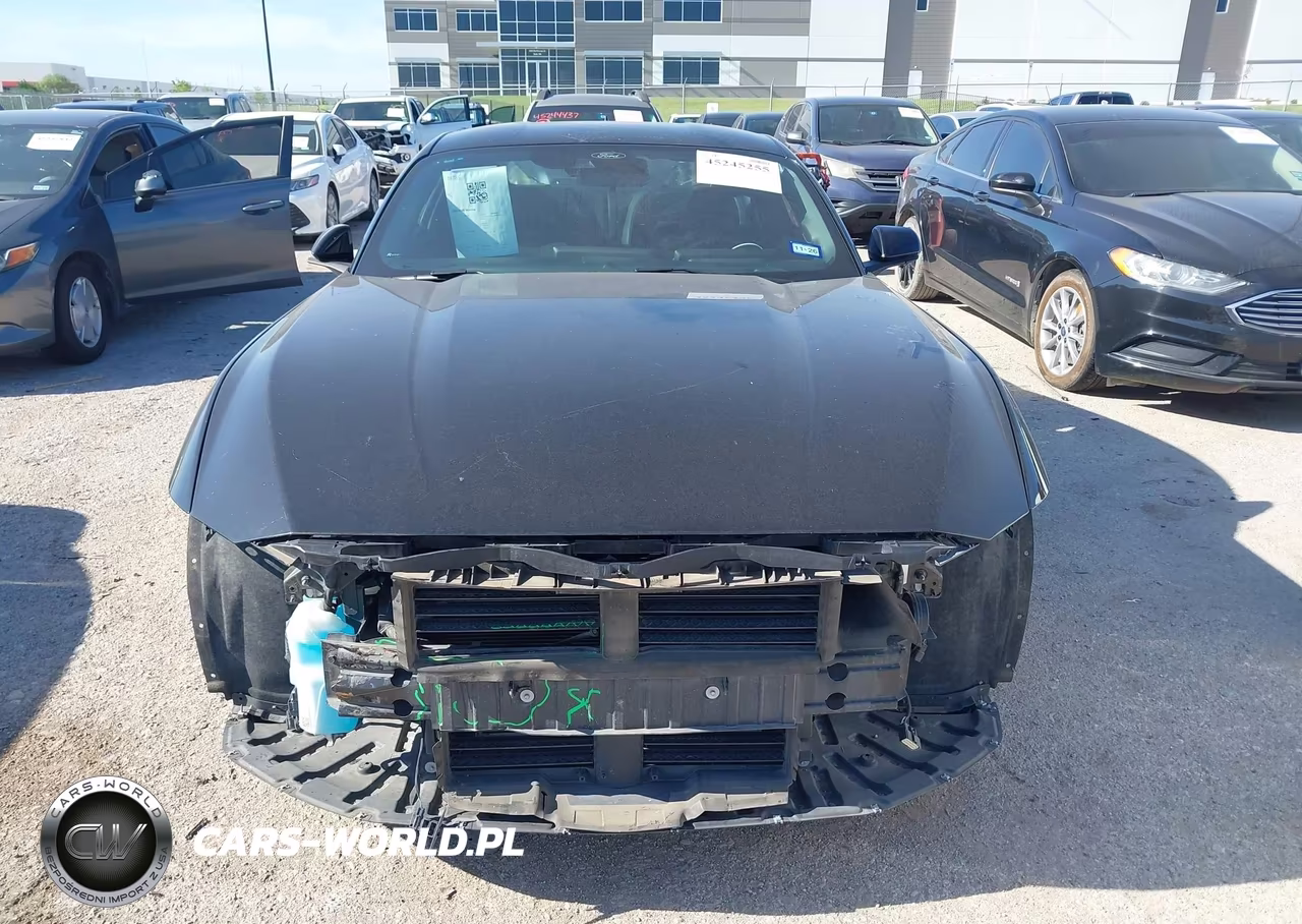 2024 Ford Mustang Ecoboost Fastback VIN:1FA6P8TH5R5102891 - 12