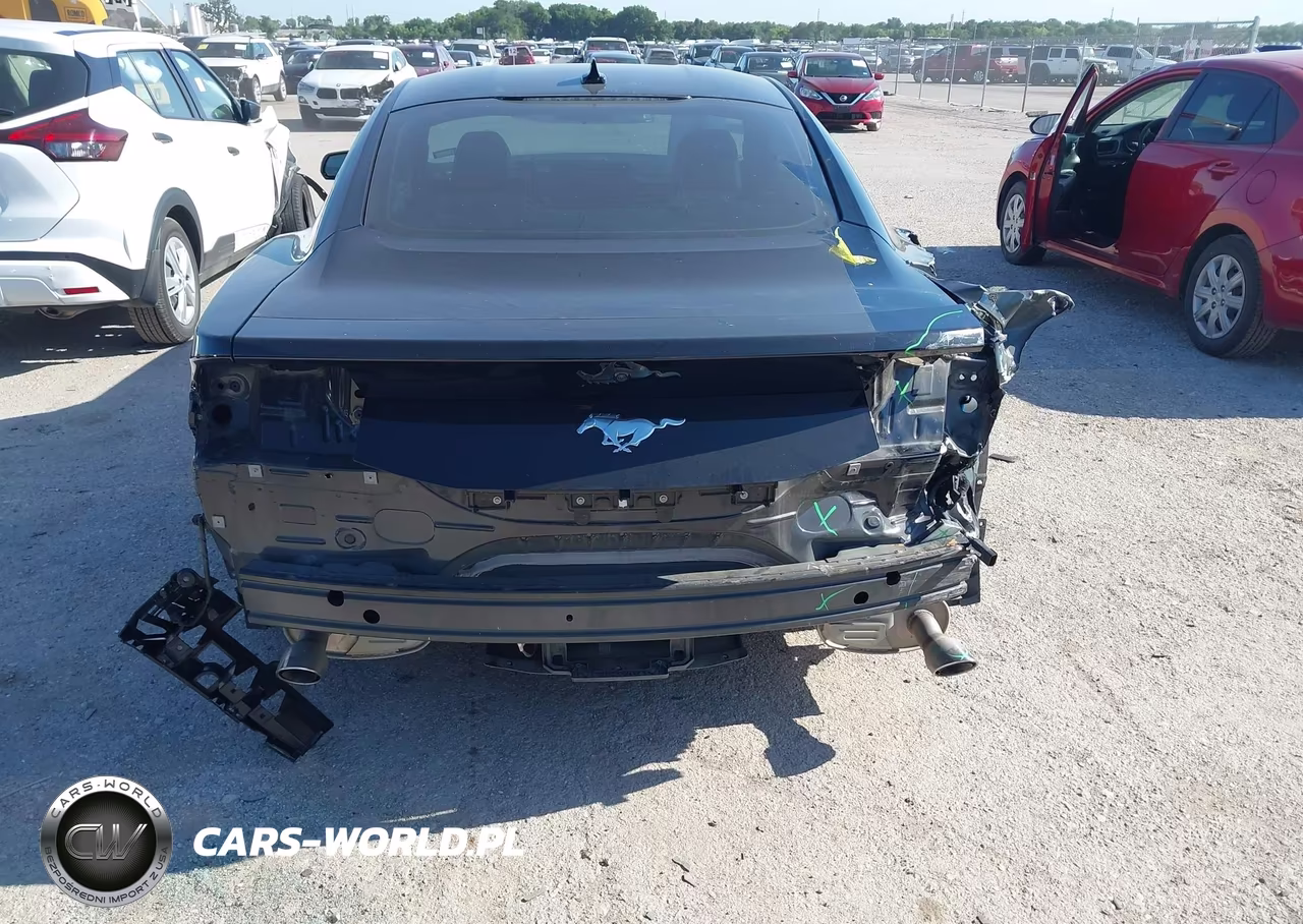 2024 Ford Mustang Ecoboost Fastback VIN:1FA6P8TH5R5102891 - 16