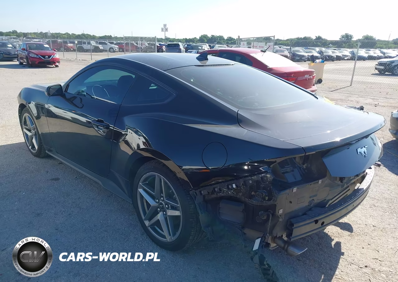 2024 Ford Mustang Ecoboost Fastback VIN:1FA6P8TH5R5102891 - 3