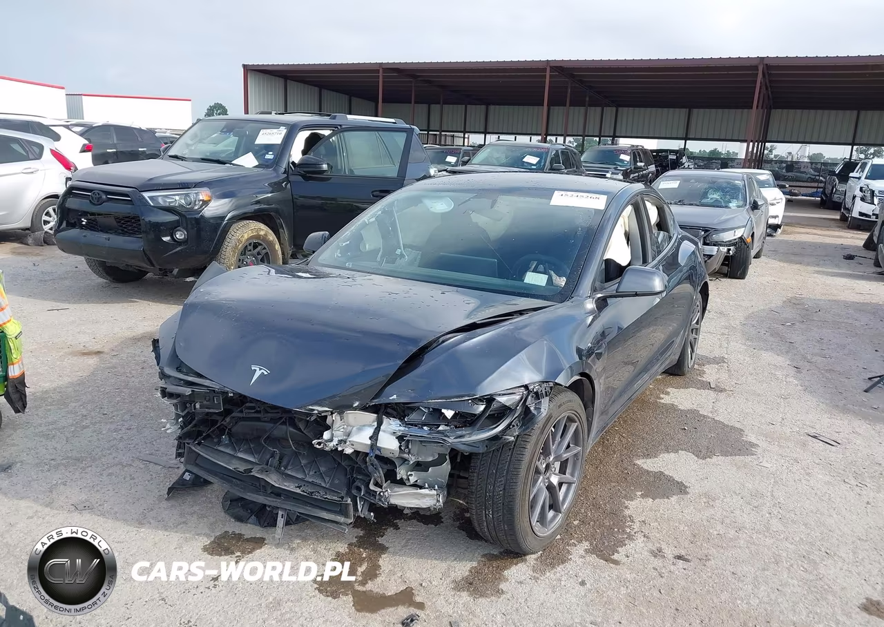 2025 Tesla Model 3 Long Range Rear-Wheel Drive VIN:5YJ3E1EA2SF911828 - 2