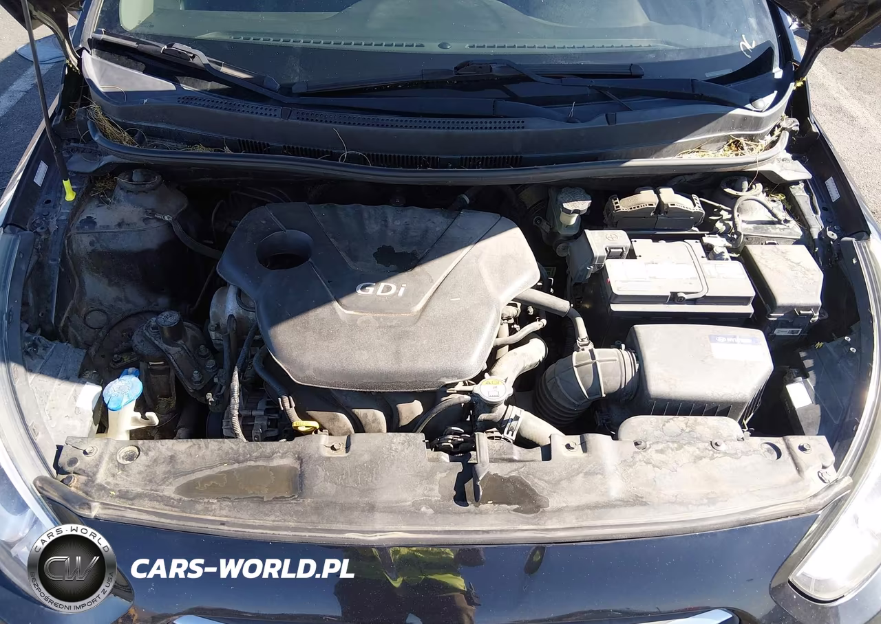 2017 Hyundai Accent Se VIN:KMHCT5AE9HU320039 - 10