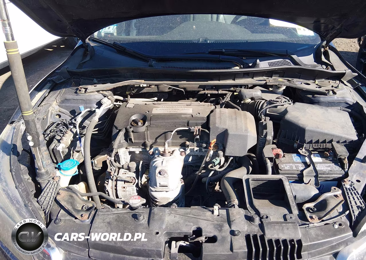 2013 Honda Accord Ex-L VIN:1HGCR2F80DA234801 - 10