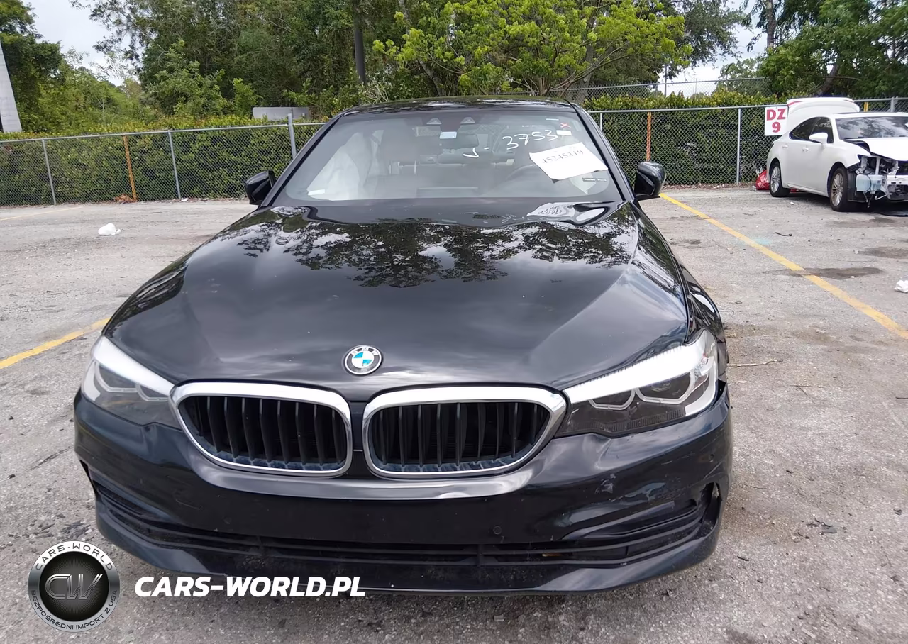 2019 BMW 530 I VIN:WBAJA5C57KWW13753 - 12
