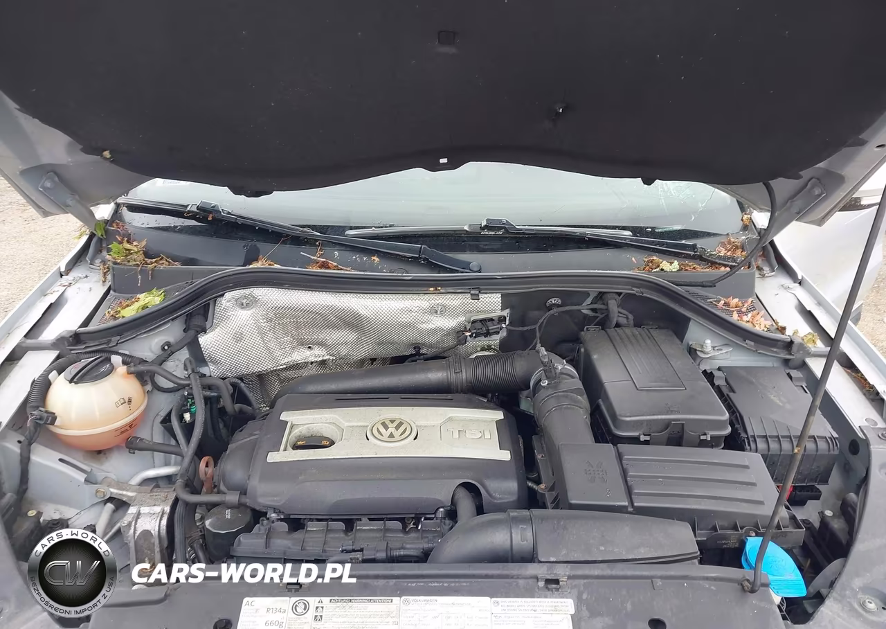 2013 Volkswagen Tiguan Se VIN:WVGBV7AX7DW540104 - 10