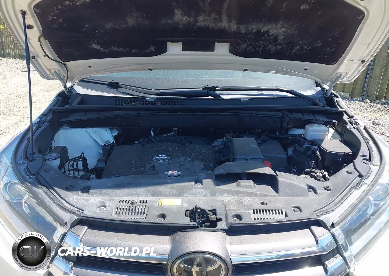 2019 Toyota Highlander Limited Platinum VIN:5TDDZRFH1KS958816 - 10