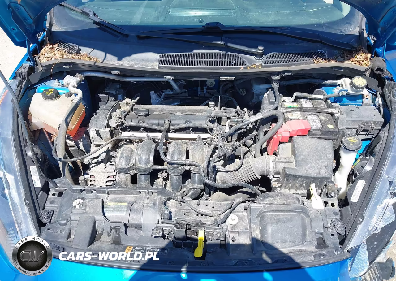 2017 Ford Fiesta Se VIN:3FADP4BJ1HM109558 - 10