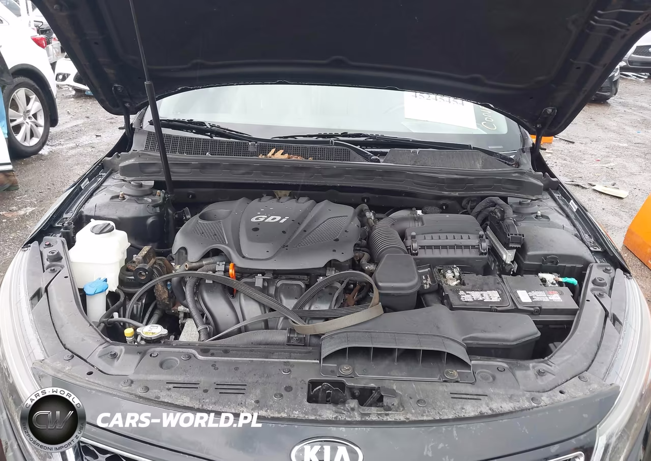 2015 Kia Optima Ex VIN:5XXGN4A75FG415826 - 10