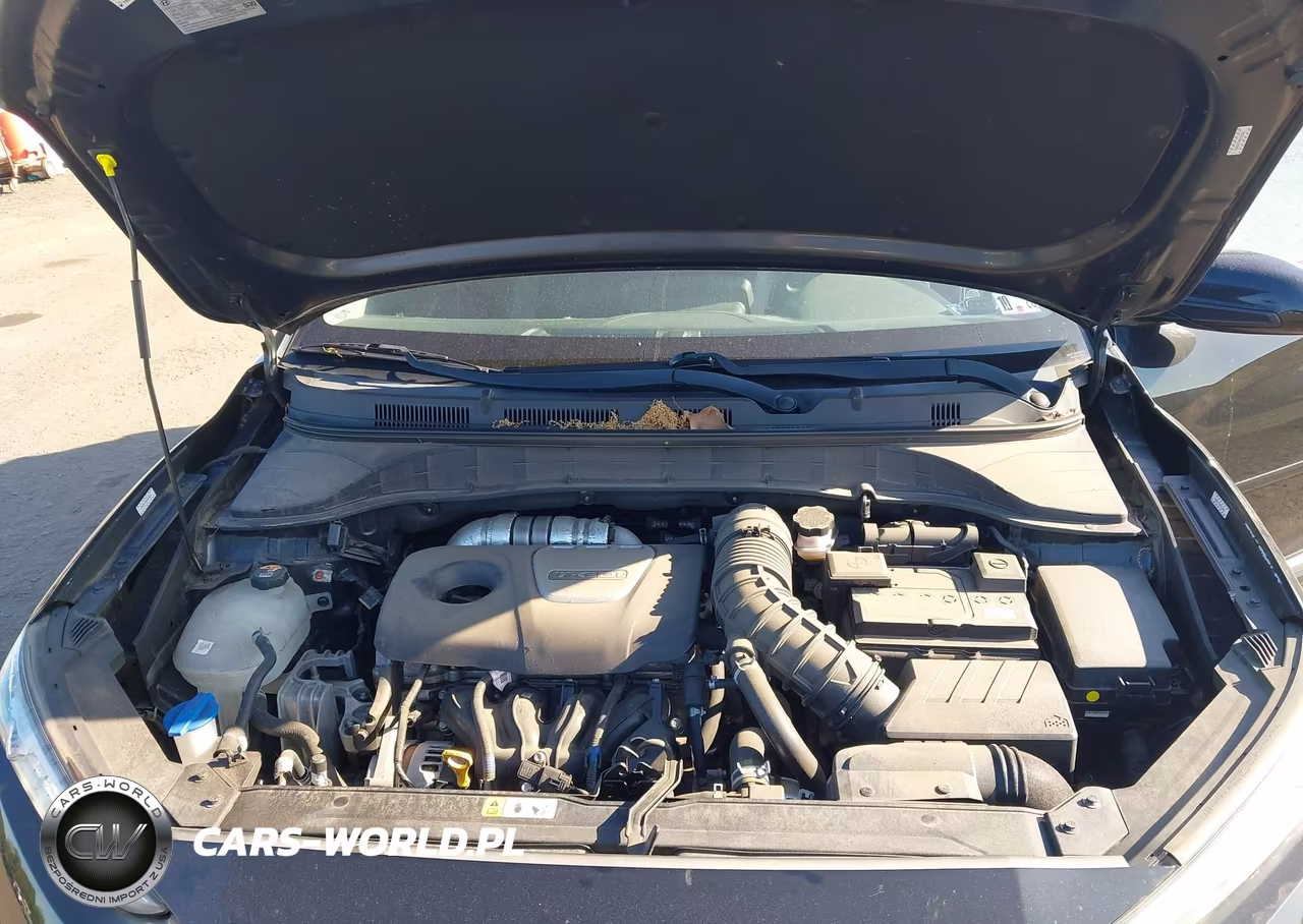 2020 Hyundai Kona Limited VIN:KM8K3CA50LU430924 - 10