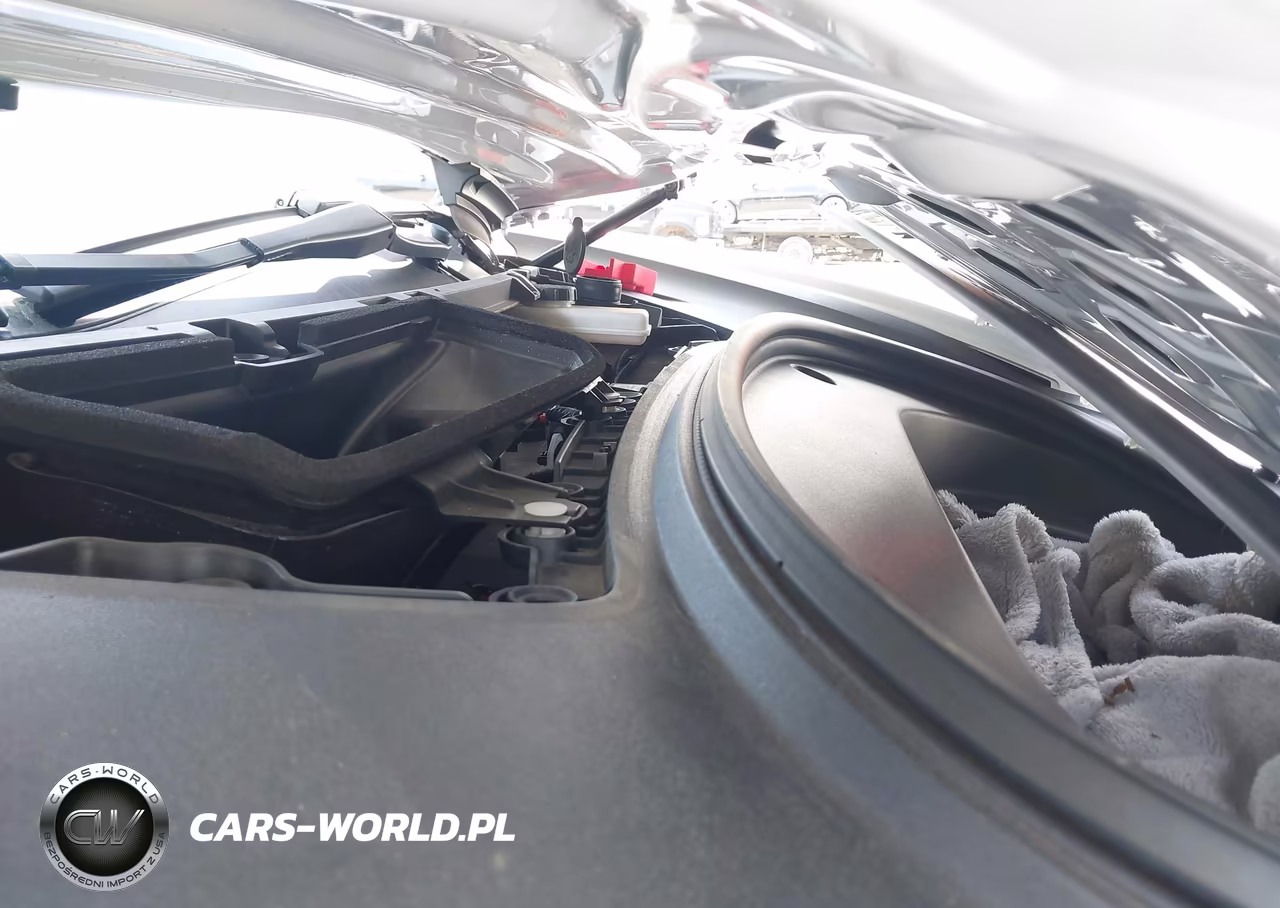 2021 Tesla Model 3 Standard Range Plus Rear-Wheel Drive VIN:5YJ3E1EA8MF064381 - 10