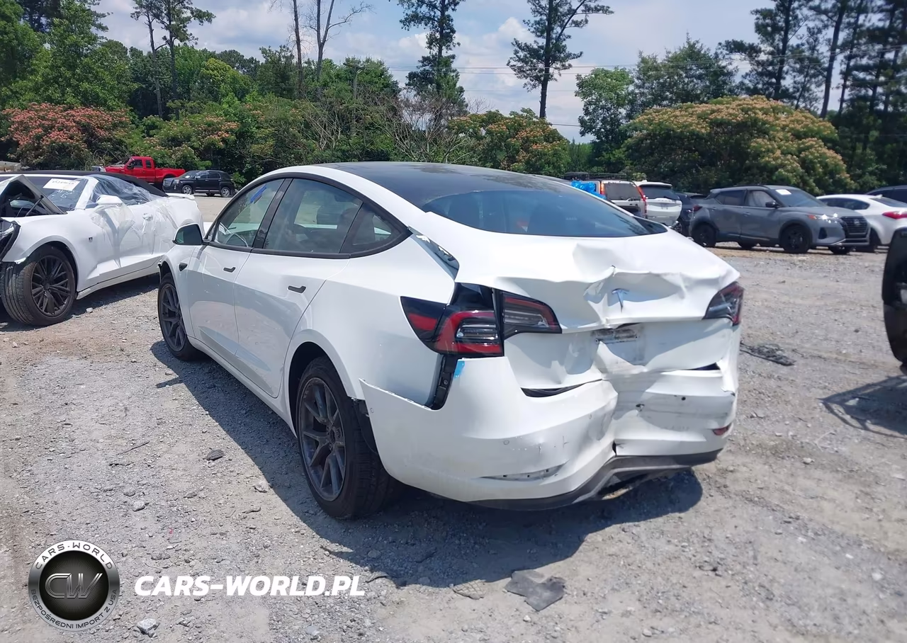 2021 Tesla Model 3 Standard Range Plus Rear-Wheel Drive VIN:5YJ3E1EA8MF064381 - 3