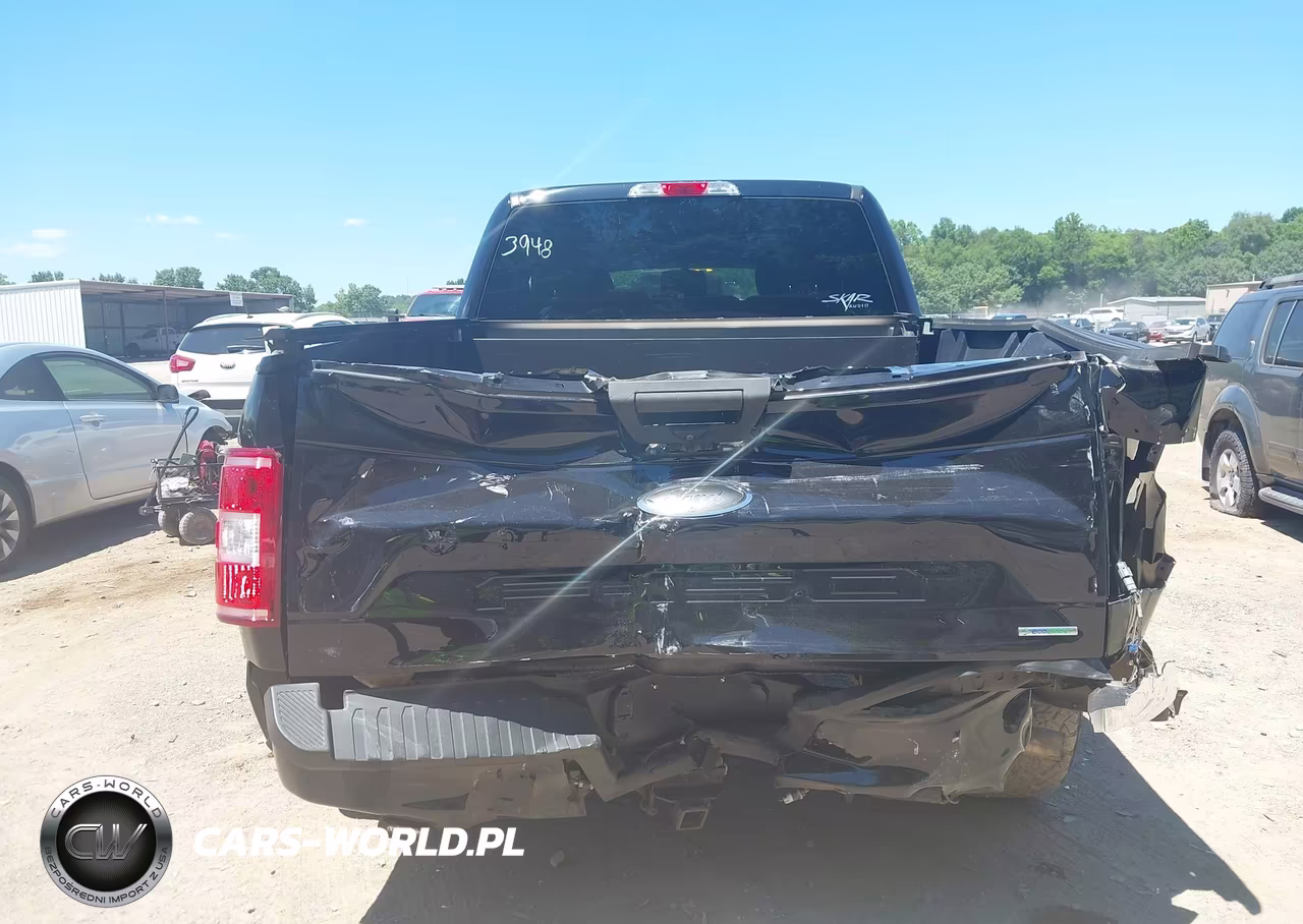 2020 Ford F-150 Xl VIN:1FTEX1EP9LKE03948 - 16