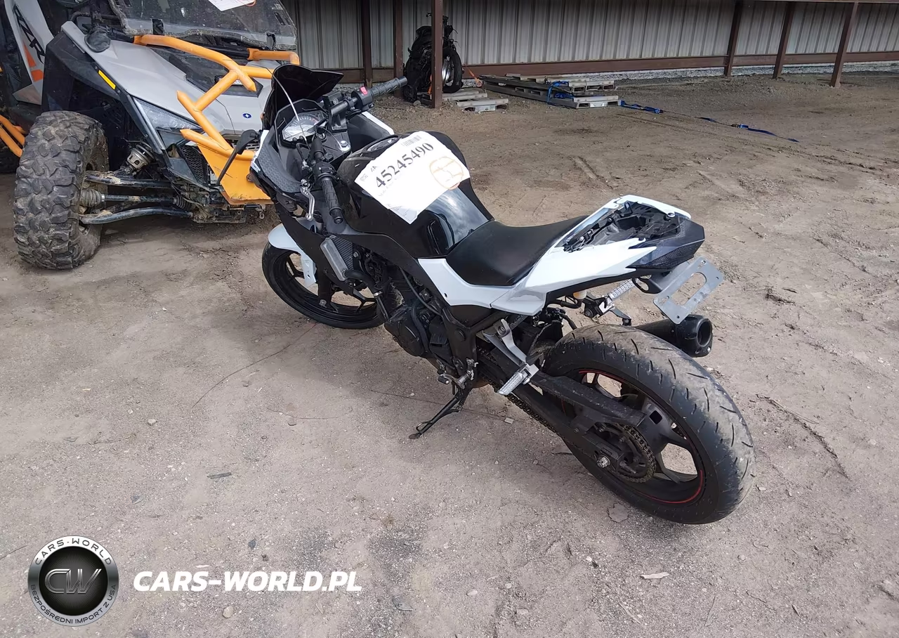 2014 Kawasaki Ex300 A VIN:JKAEX8A15EA004807 - 3
