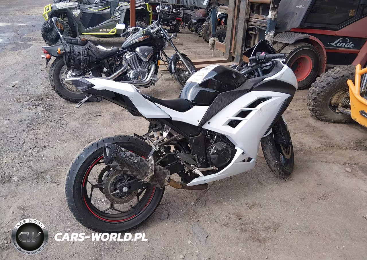 2014 Kawasaki Ex300 A VIN:JKAEX8A15EA004807 - 4