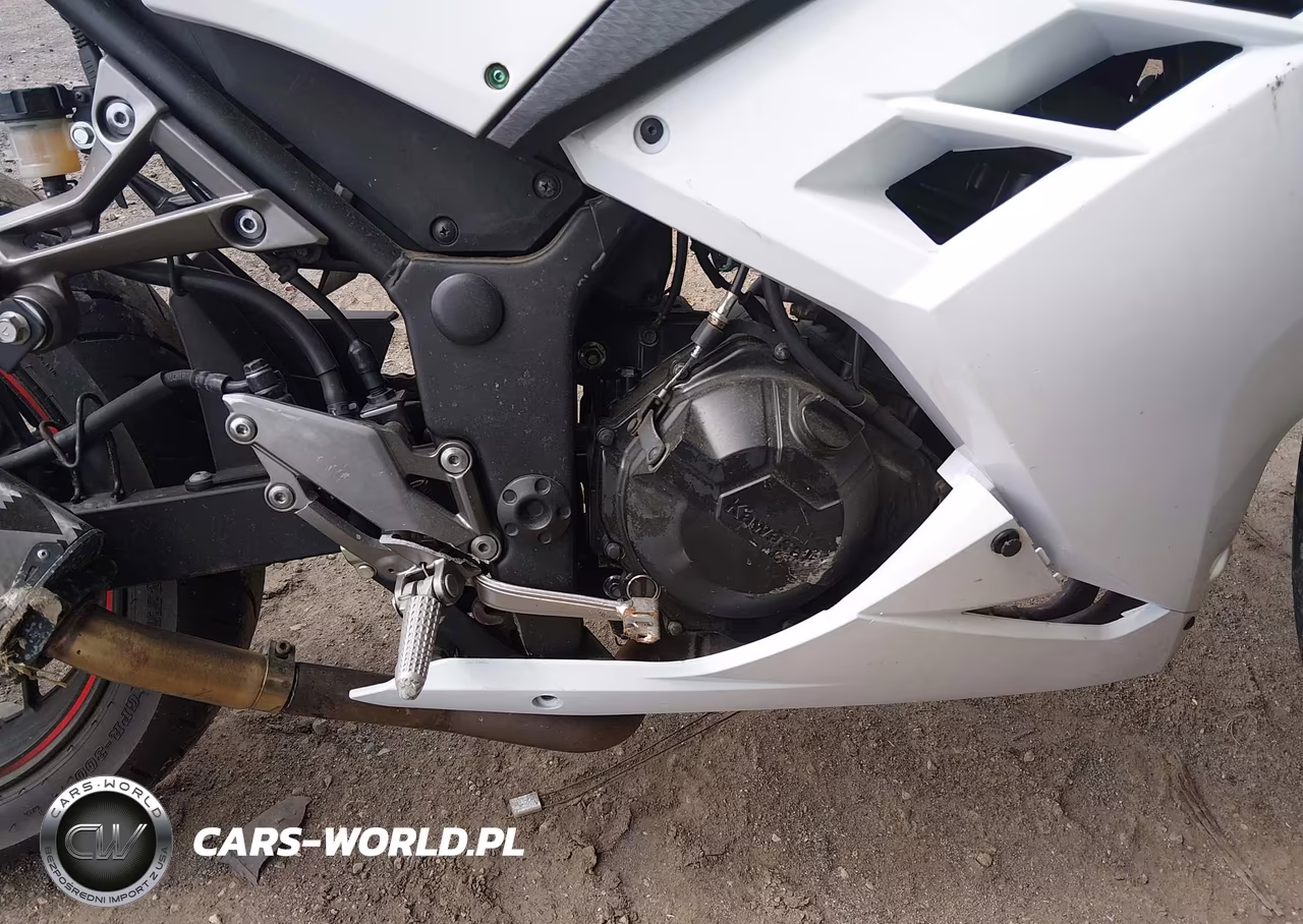 2014 Kawasaki Ex300 A VIN:JKAEX8A15EA004807 - 8