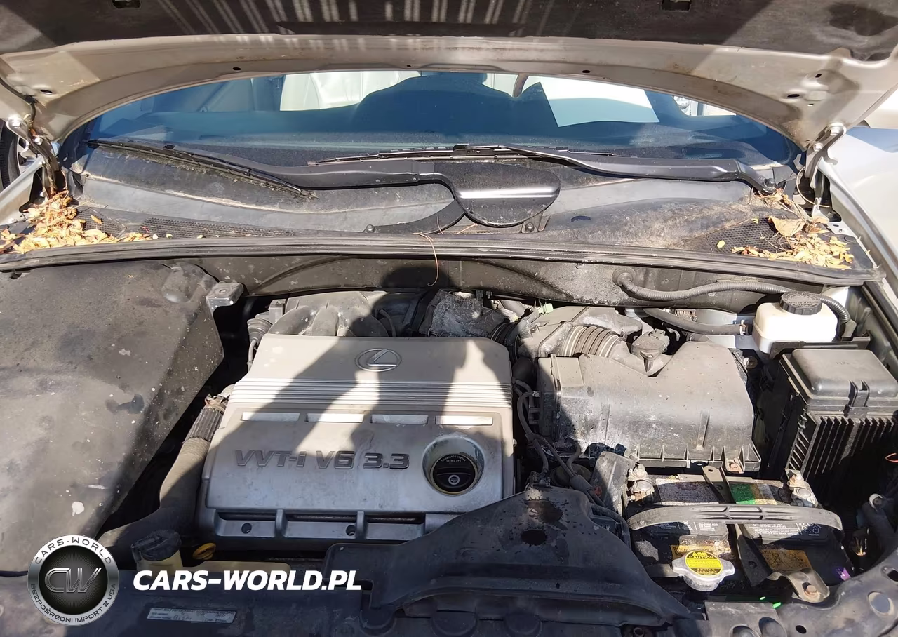 2004 Lexus Rx 330 VIN:2T2HA31U74C020465 - 10
