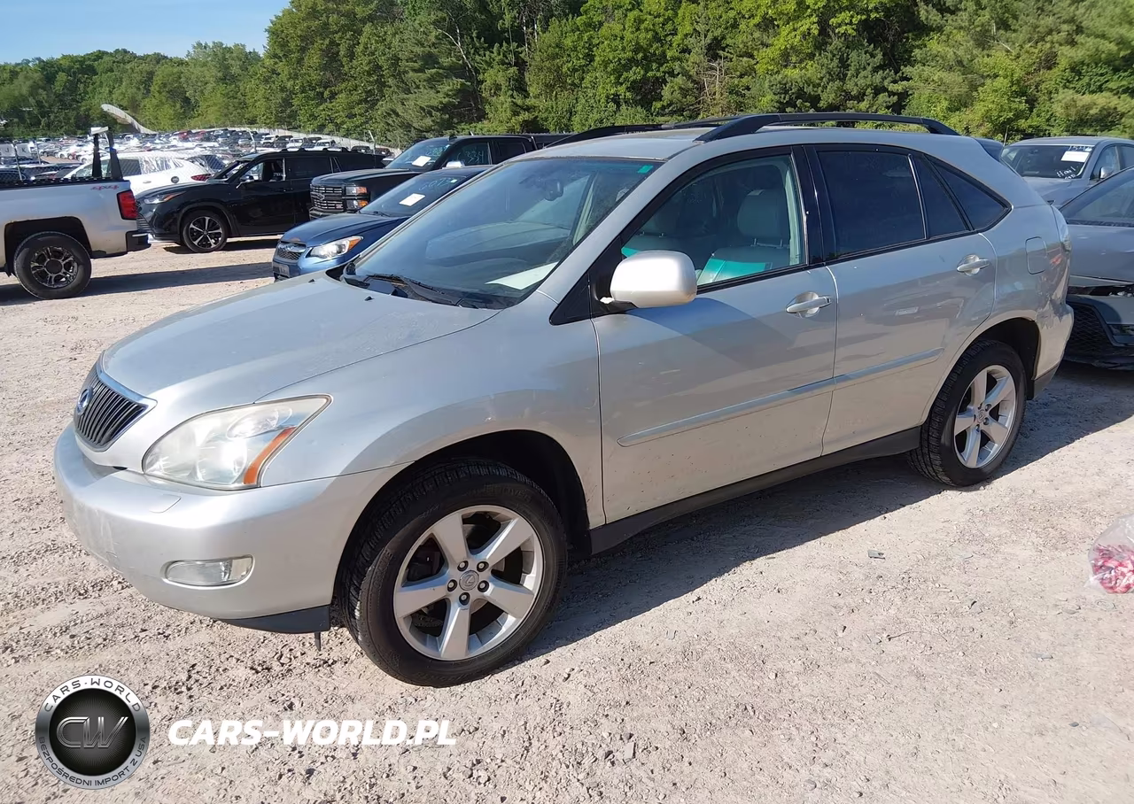 2004 Lexus Rx 330 VIN:2T2HA31U74C020465 - 2