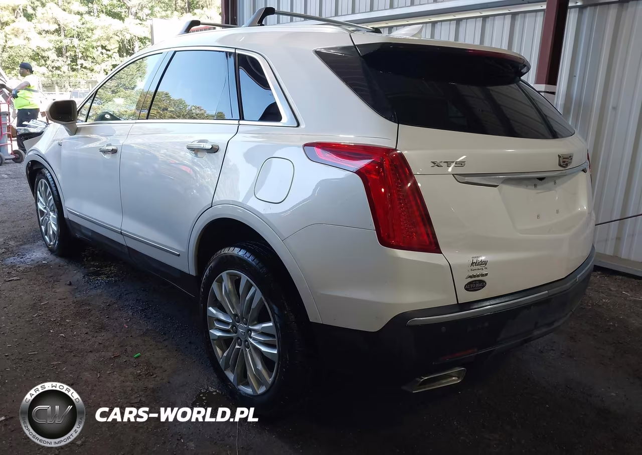 2019 Cadillac Xt5 Premium Luxury VIN:1GYKNFRS6KZ121948 - 3