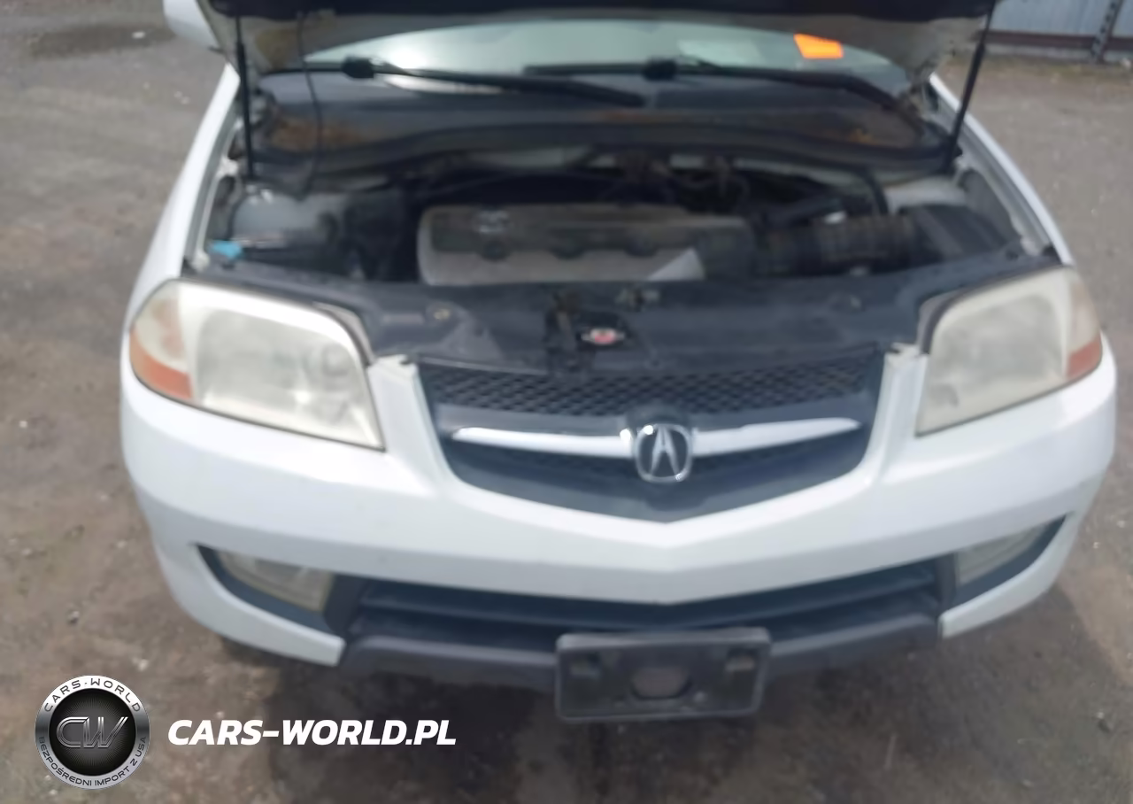 2003 Acura Mdx VIN:2HNYD189X3H539297 - 10