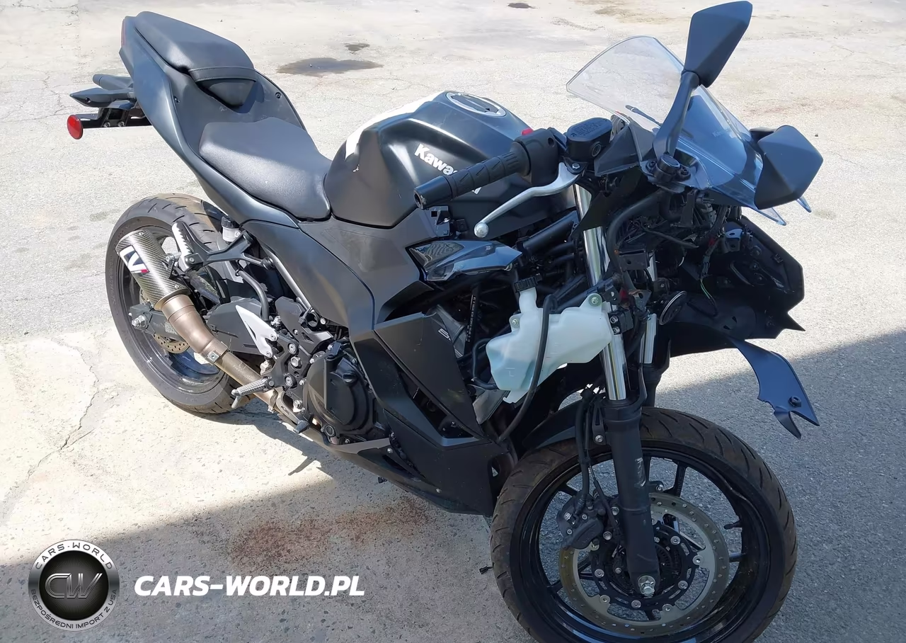 2026 Kawasaki Ex500 – zdjęcie 1 z 12
