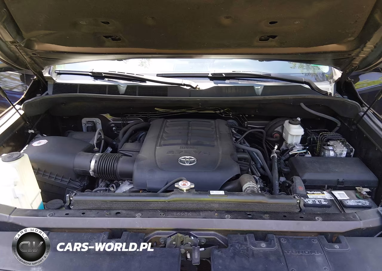 2019 Toyota Tundra 1794 5.7L V8 VIN:5TFAY5F10KX825525 - 10