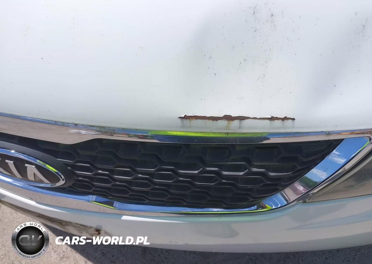 2013 Kia Forte Ex VIN:KNAFU4A22D5713543 - 13