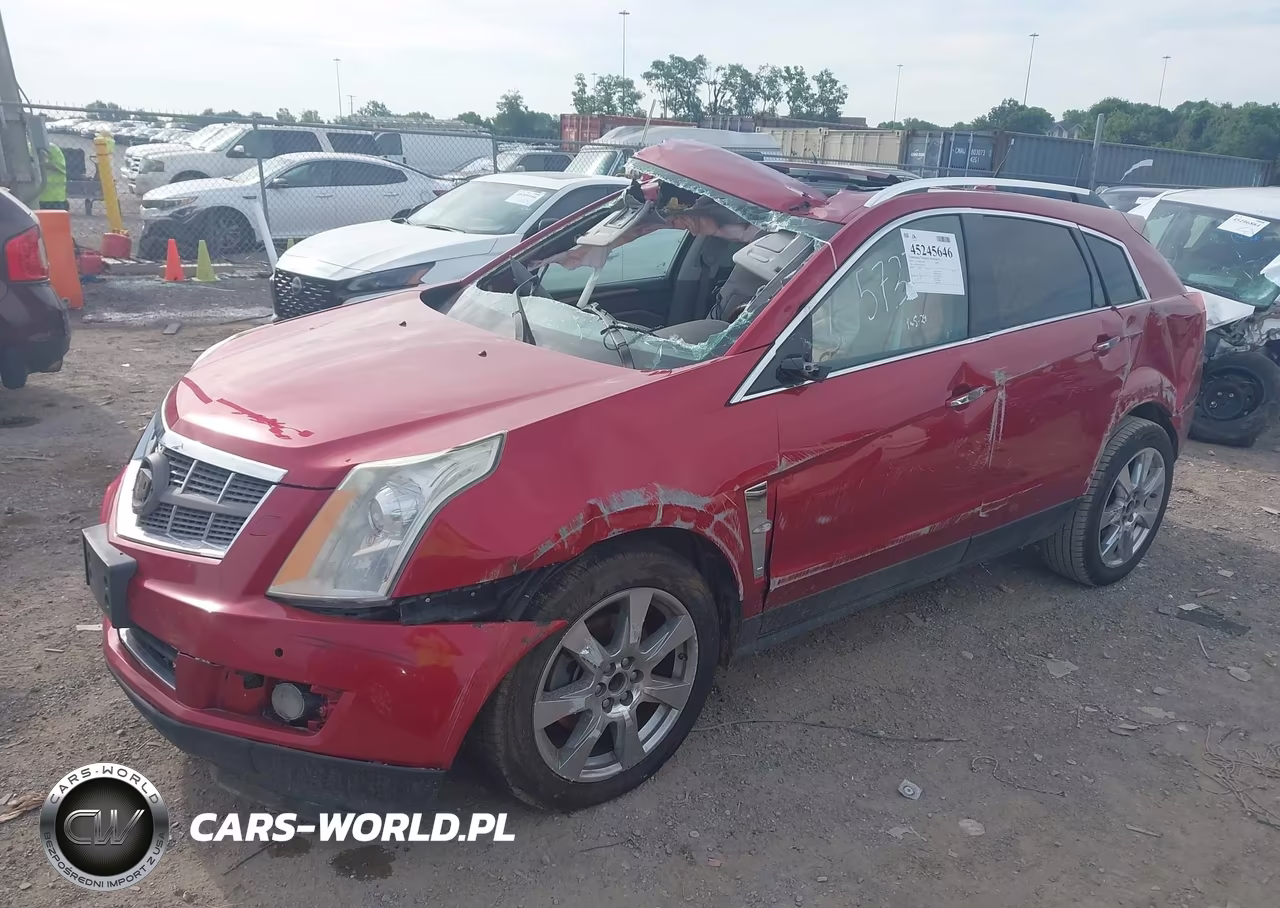2010 Cadillac Srx Premium Collection VIN:3GYFNFEY8AS505737 - 2