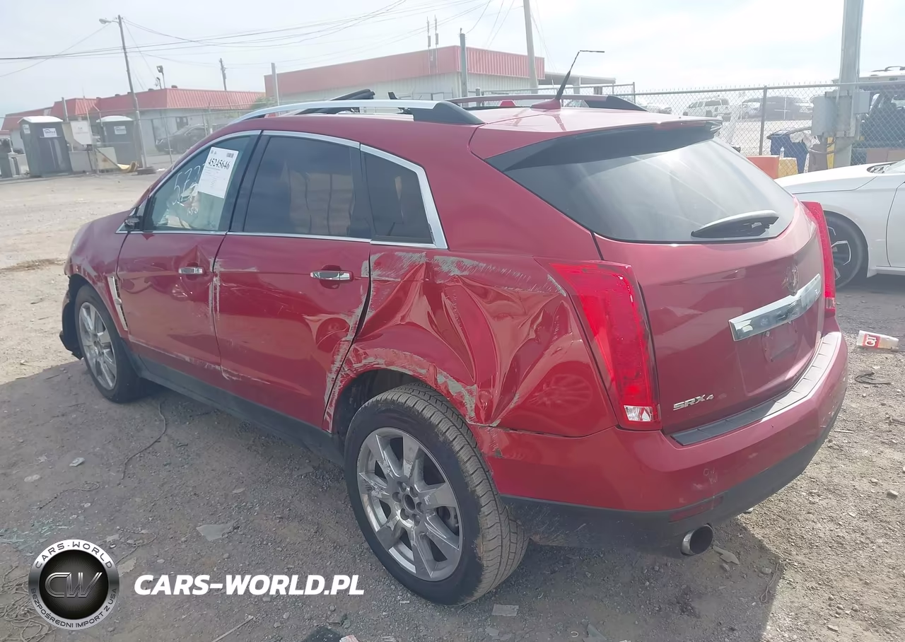 2010 Cadillac Srx Premium Collection VIN:3GYFNFEY8AS505737 - 3