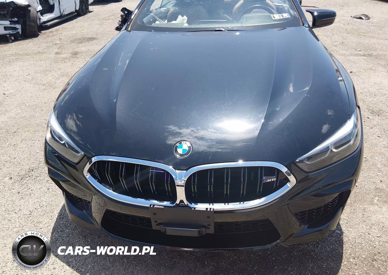 2020 BMW M8 VIN:WBSDZ0C05LCD42125 - 13