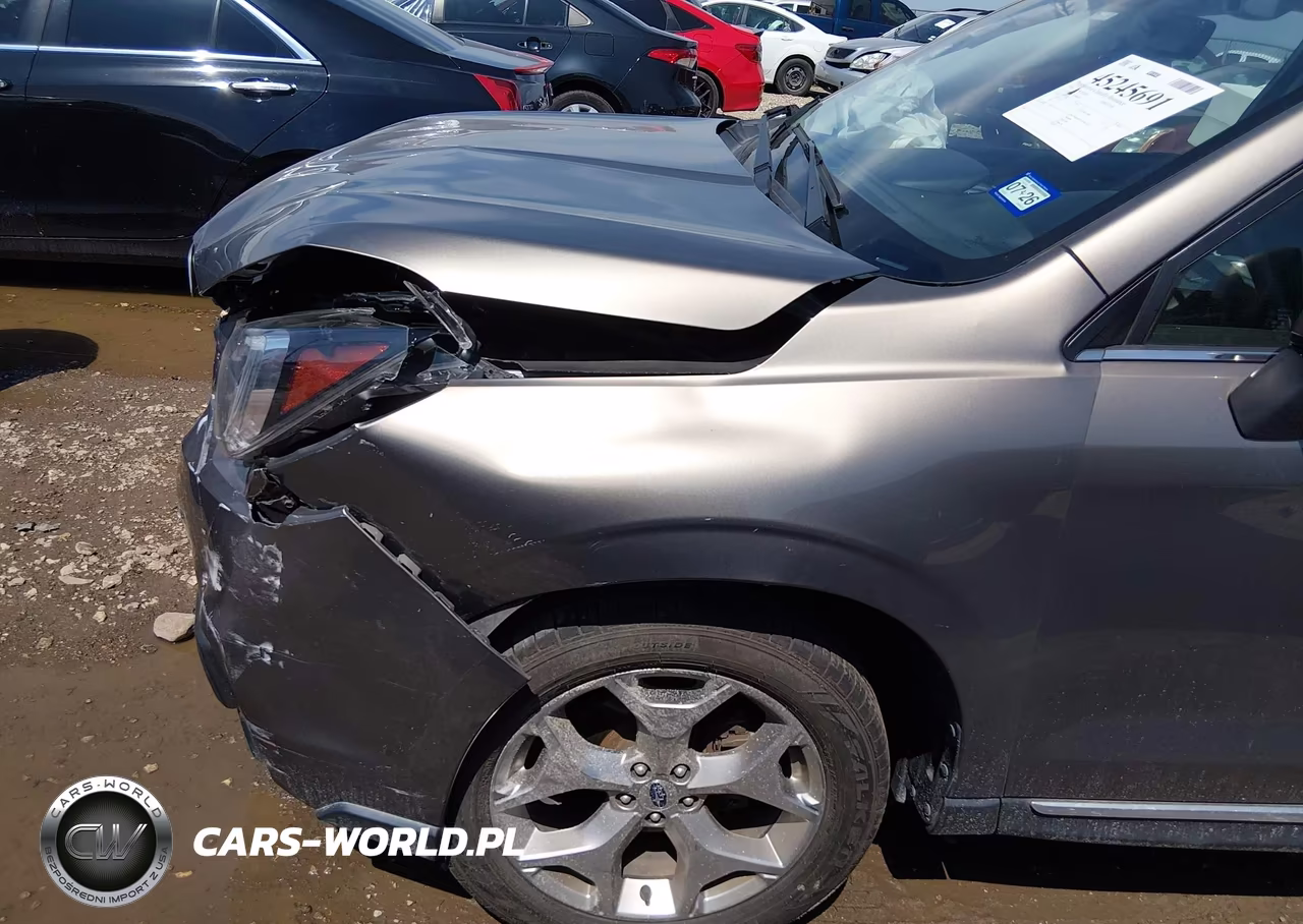 2018 Subaru Forester 2.5I Touring VIN:JF2SJAWC3JH604272 - 6