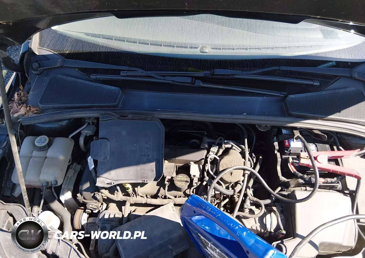 2013 Ford Focus Se VIN:1FADP3K2XDL231964 - 10